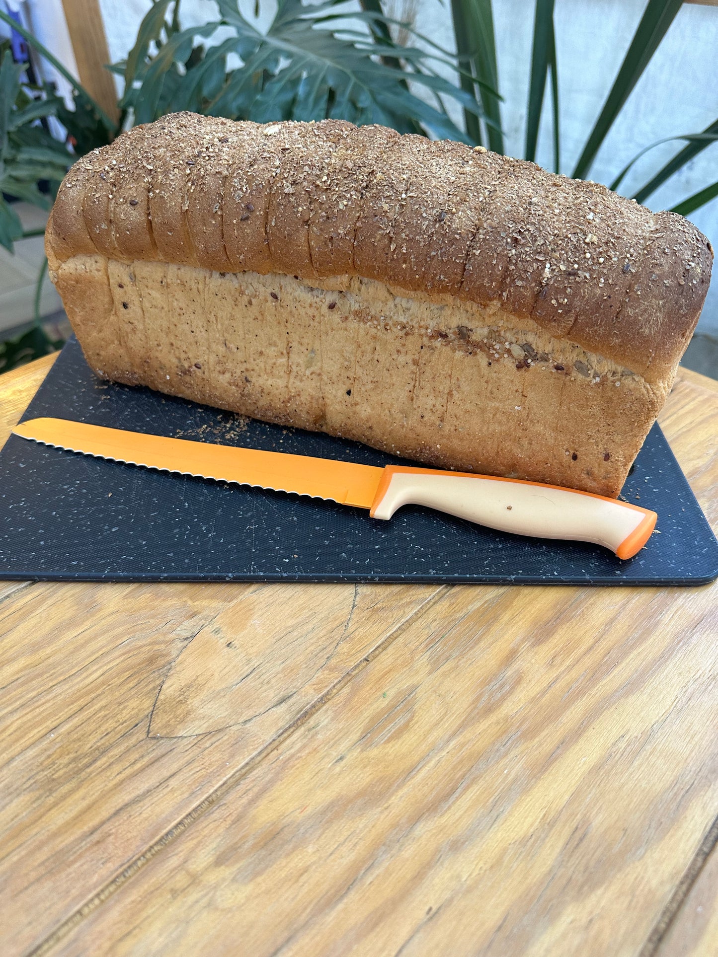 Pan de Caja Sin Gluten